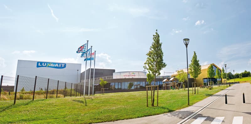 Main entrance, Building