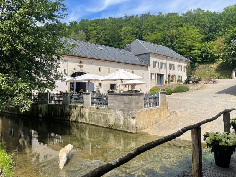 Le moulin